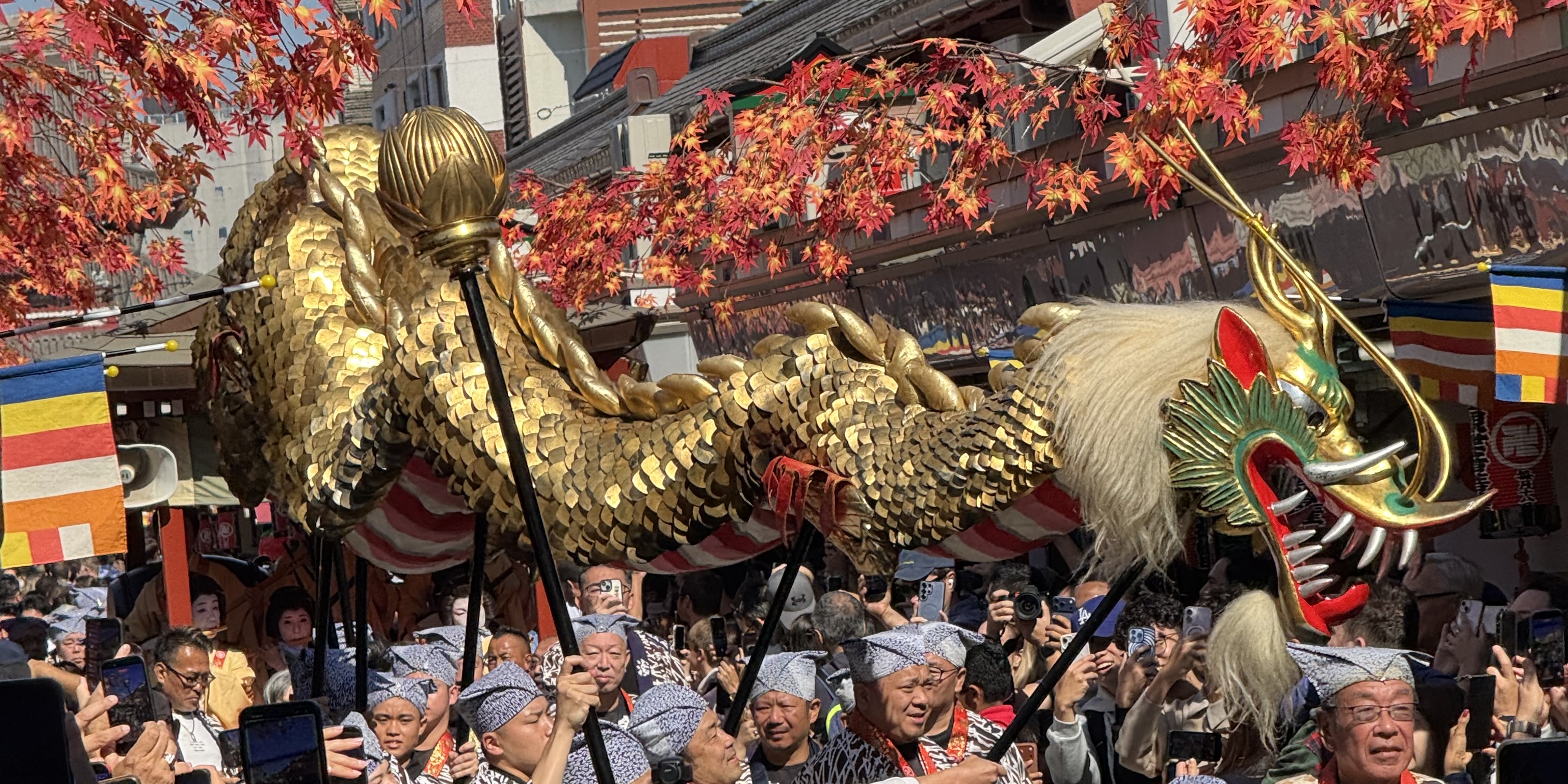 Chasing the Golden Dragon: Senso-ji's Autumn Legend Comes Alive in Asakusa