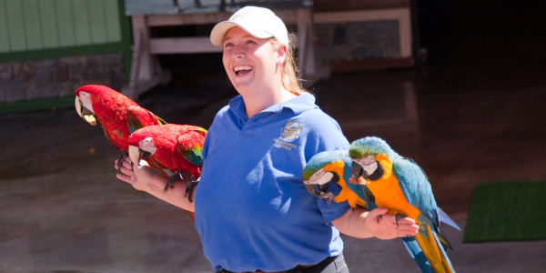 Wild Wonders of the World Famous San Diego Zoo in California