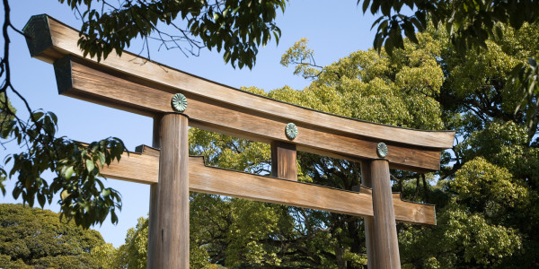 Finding Peace and History at Meiji Shrine in Tokyo Japan