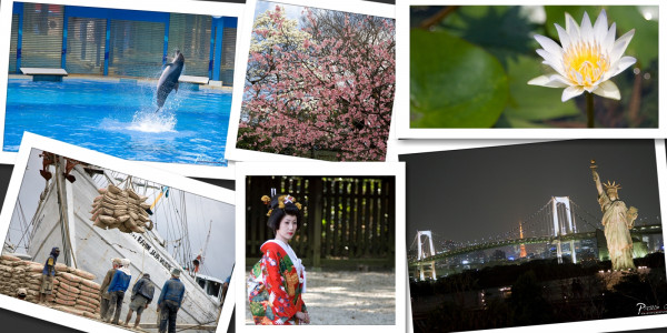 Year 2010 Best Photos