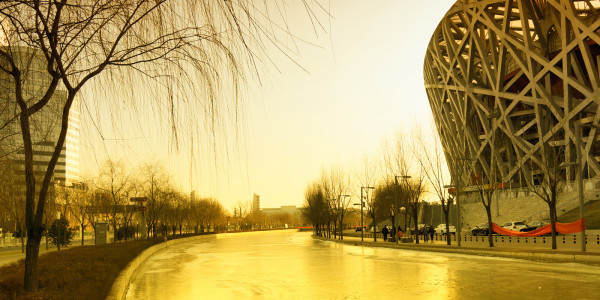 In the Year of the Dragon: Snow Fun, Pandas, and Ocean Wonders in Beijing China January 2012
