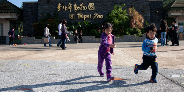 A Day with the Animals: Exploring the Expansive Taipei Zoo in Taiwan