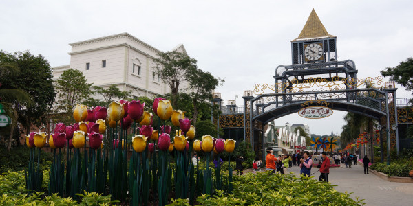 Navigating the Lunar Rush: A Family Adventure at Netherlands Flower Town in Shenzhen China