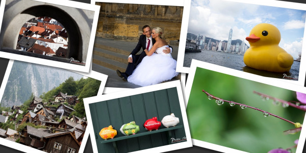 Year 2013 Best Photos