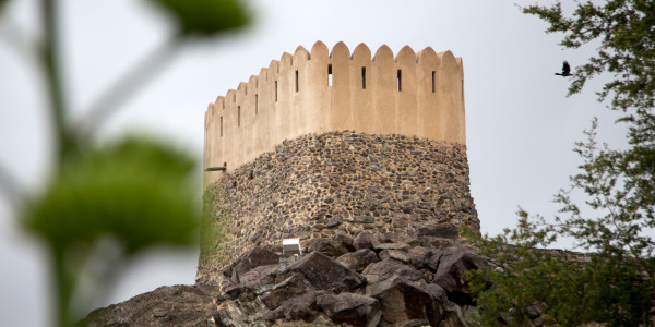 Exploring Fujairah: A Journey Through History, Nature, and Coastal Charm in Fujairah UAE