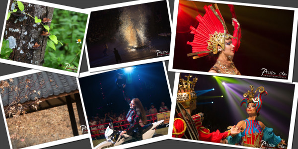 Year 2015 Best Photos