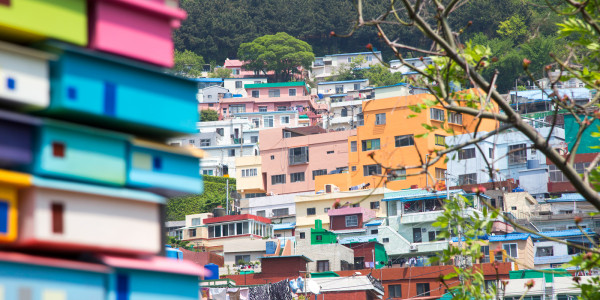 Exploring The Enchanting Gamcheon Cultural Village in Busan Korea May 2017
