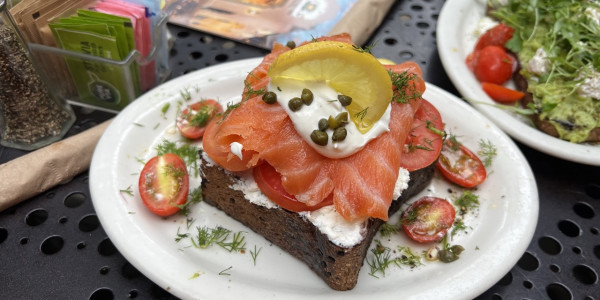 Vacation in LA: Iconic Sights, Hidden Gems, and Culinary Adventures