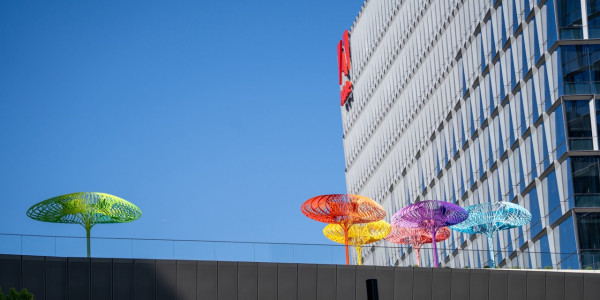 Photographic Tour of Downtown San Jose