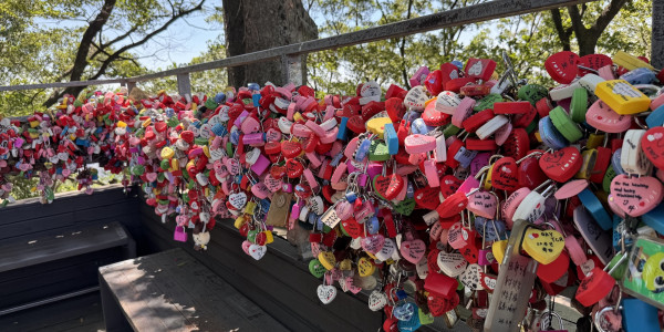 Soaring Above Seoul: A Magical Journey to N Seoul Tower South Korea