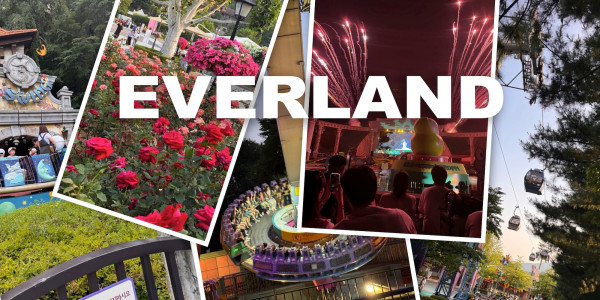 Everland Theme Park Spectacular Fireworks Experience South Korea
