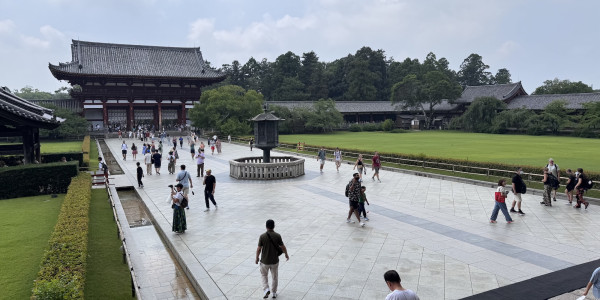 Perfect Blend of Sacred Deer, Buddhist Art, and Culinary Heritage Nara Japan