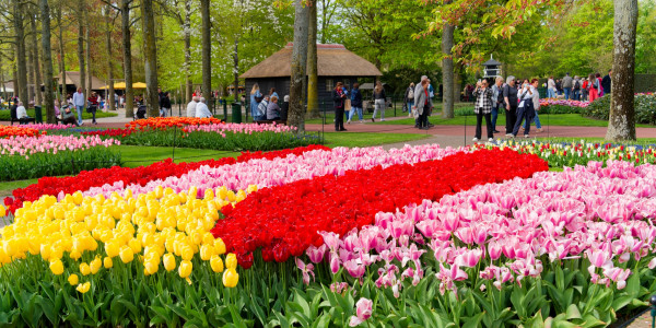 From the Channel Tunnel to Tulip Flower Parade: The Ultimate Europe Road Trip